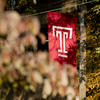 Temple flag surrounded by fall colored leaves.