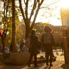 campus scene in fall