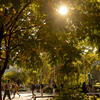 campus