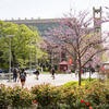 campus