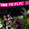 time to fly